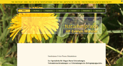 Desktop Screenshot of naturheilpraxis-wurster.de